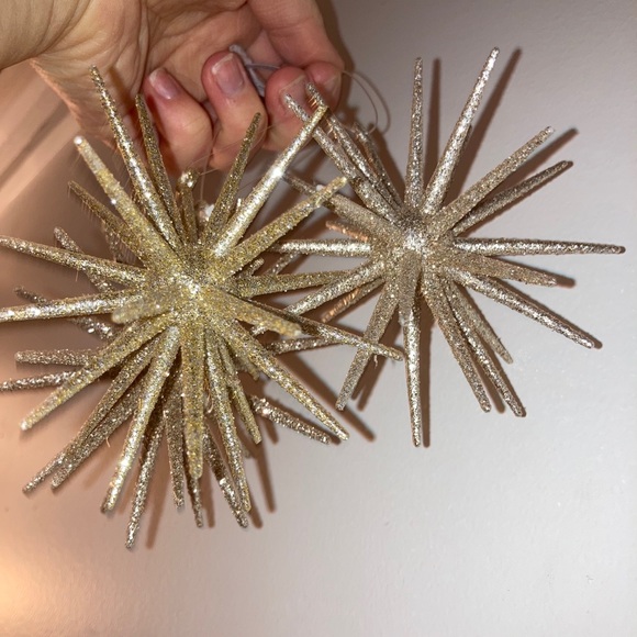 Crate and Barrel Ornaments - Picture 4 of 4